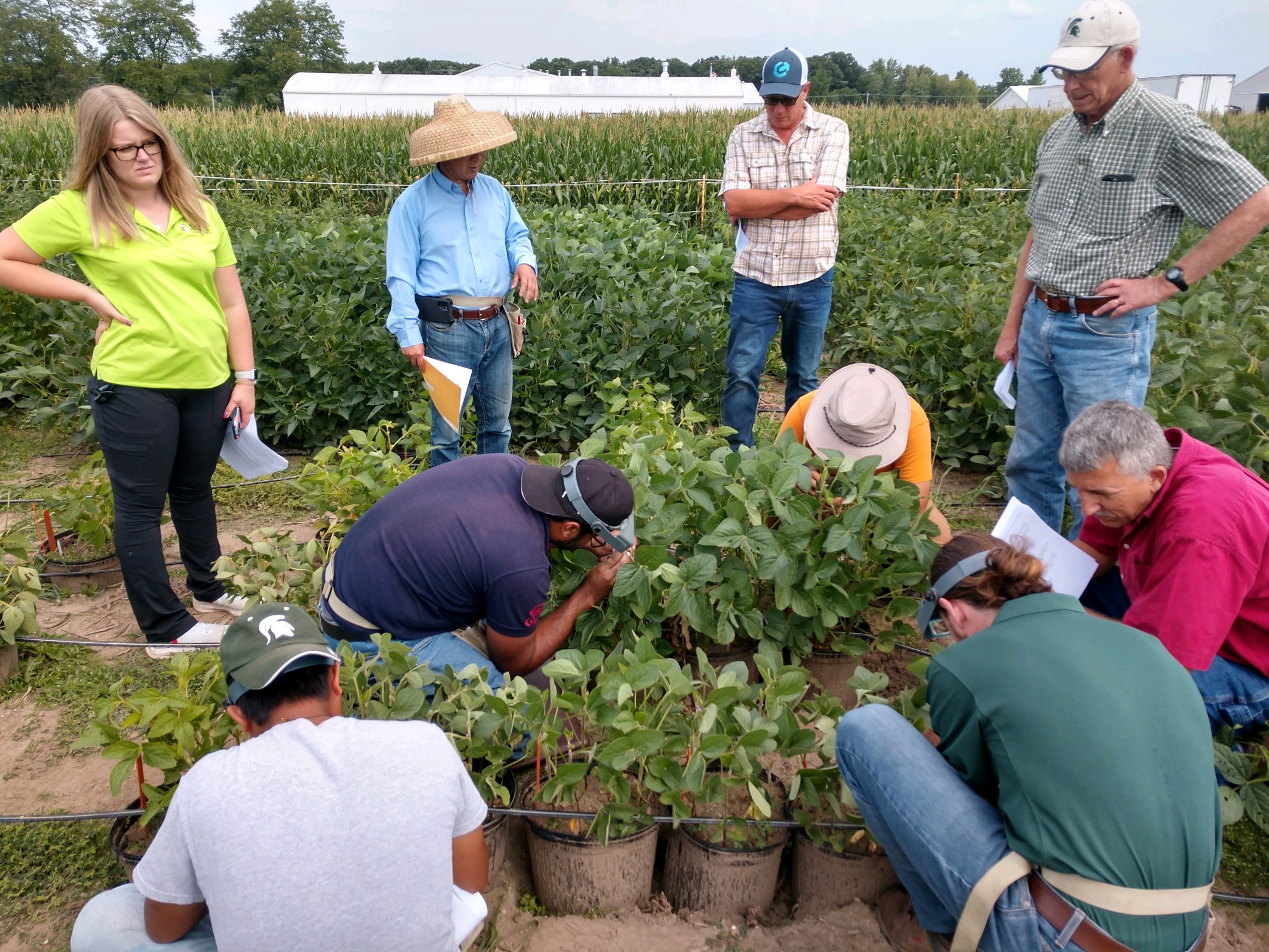 SoybeanBreedingDemo